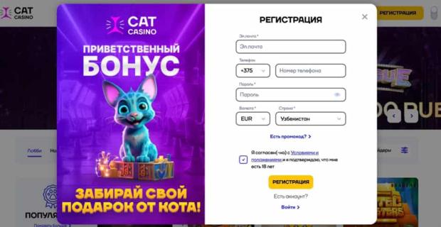 cat регистрация